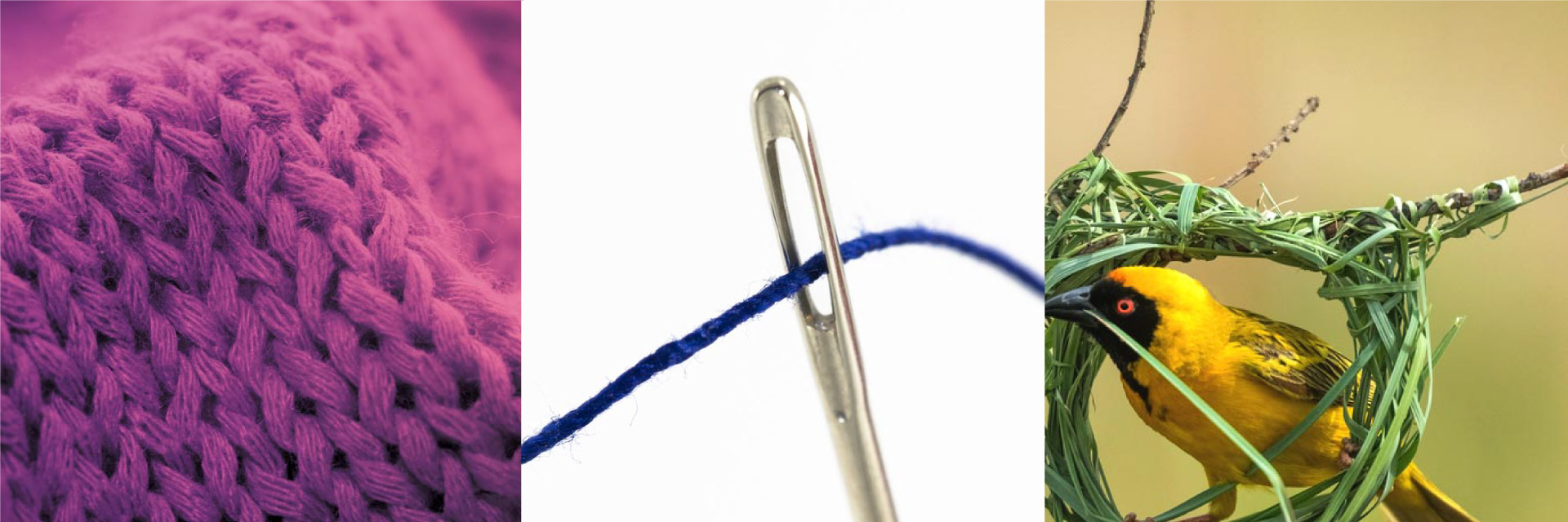 Conceptos de la marca